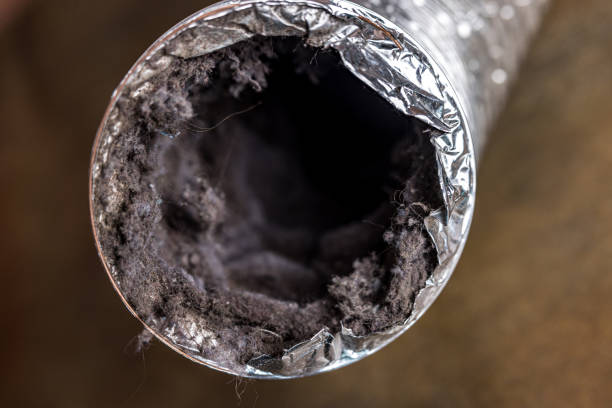 Best Air Duct Cleaning Near Me  in Northampton, PA